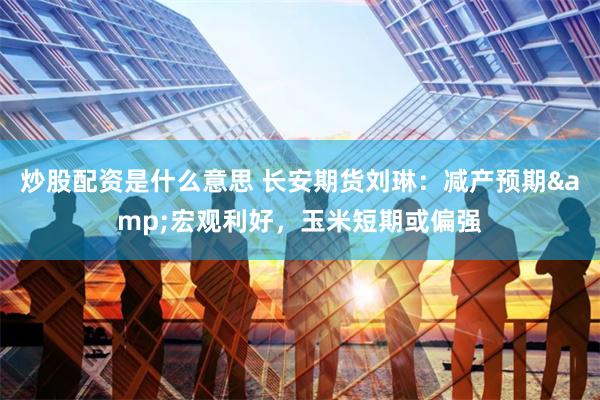 炒股配资是什么意思 长安期货刘琳：减产预期&宏观利好，玉米短期或偏强