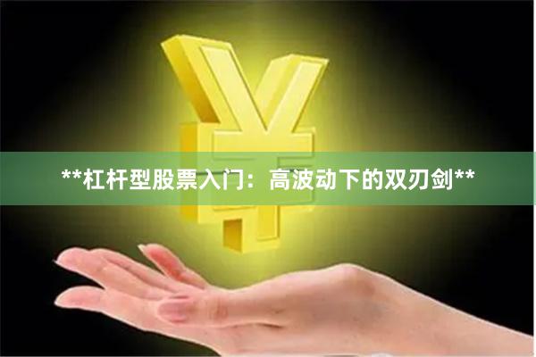 **杠杆型股票入门：高波动下的双刃剑**